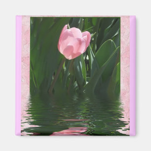 Íman Ímã cor-de-rosa bonito da tulipa