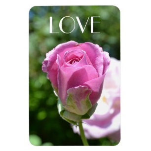 Íman Ímã cor-de-rosa bonito do amor do botão