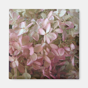 Íman Ímã cor-de-rosa bonito do Hydrangea