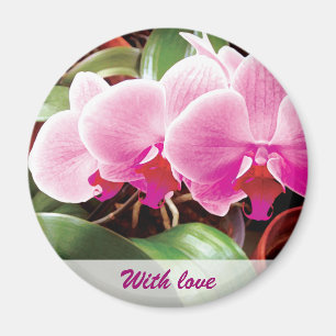 Íman Ímã cor-de-rosa das orquídeas