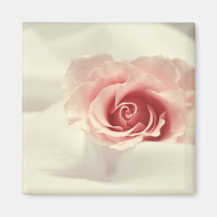 Íman Ímã cor-de-rosa delicado