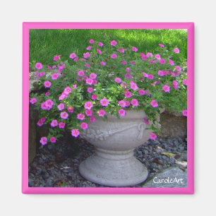 Íman Ímã cor-de-rosa do plantador