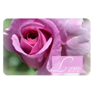 Íman Ímã cor-de-rosa do verão