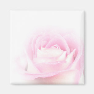 Íman Ímã cor-de-rosa macio