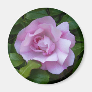Íman Ímã cor-de-rosa rosa pálido