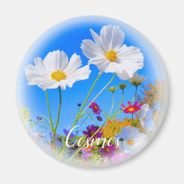 Íman Ímã Cosmos
