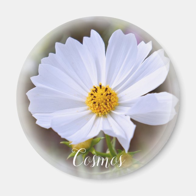 Íman Ímã Cosmos (Frente)