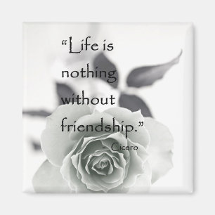 Íman Ímã da amizade