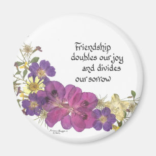 Íman Ímã da amizade