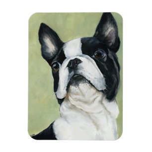 Íman Ímã da arte do cão de Boston Terrier