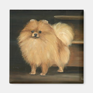 Íman Ímã da arte do cão de Pomeranian