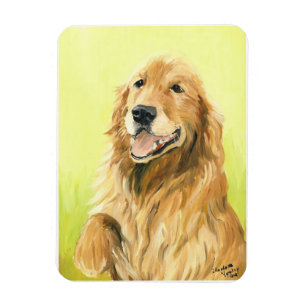 Íman Ímã da arte do cão do golden retriever
