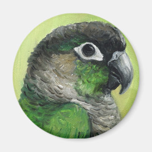 Íman "Ímã da arte do pássaro de Cheeked Conure verde