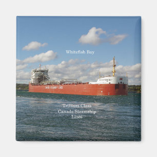 Íman Ímã da baía do peixe branco