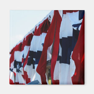 Íman Ímã da bandeira americana