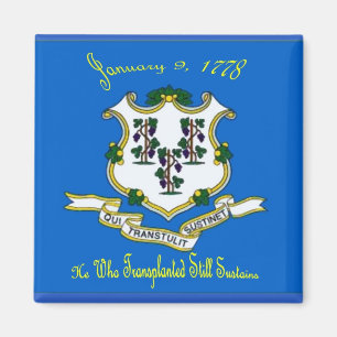Íman Ímã da bandeira de Connecticut