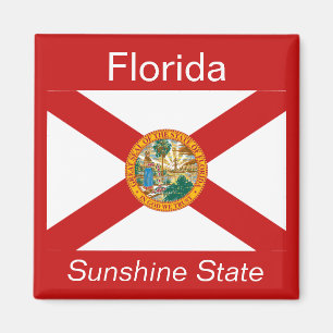 Íman Ímã da bandeira de Florida
