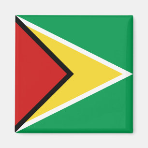 Íman Ímã da bandeira de Guyana