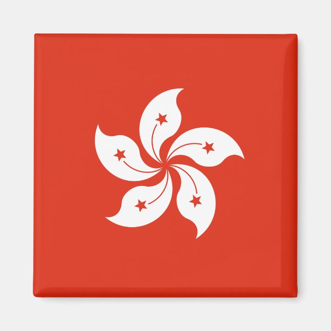 Íman Ímã da Bandeira de Hong Kong (Frente)
