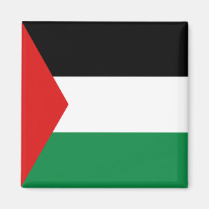 Íman Ímã da bandeira de Palestina