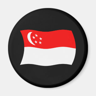 Íman Ímã da Bandeira de Singapura