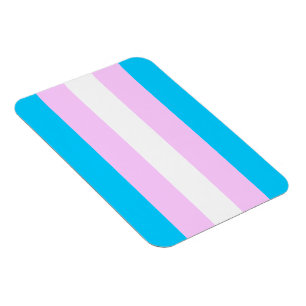 Íman Ímã da bandeira do Transgender