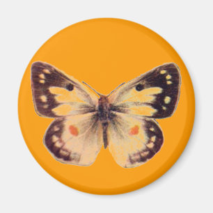 Íman Ímã da borboleta