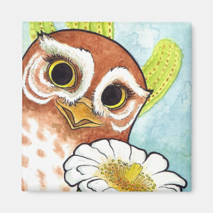 Íman Ímã da coruja do duende