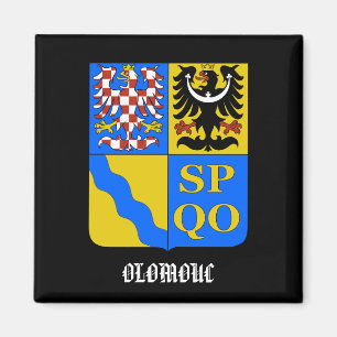 Íman Ímã da cozinha da república checa de Olomouc