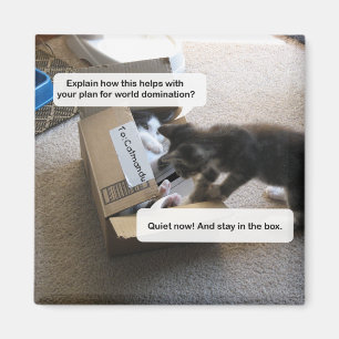 Íman Ímã da dominação do mundo do gato