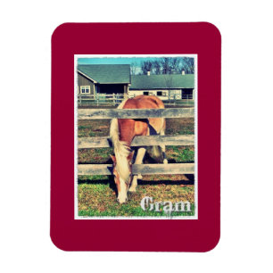 Íman Ímã da edição de luxo do grama