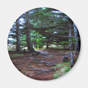 Íman Ímã da escadaria da natureza