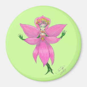 Íman Ímã da fada da orquídea da floresta húmida