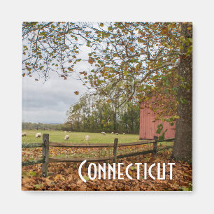 Íman Ímã da fazenda da queda de Connecticut