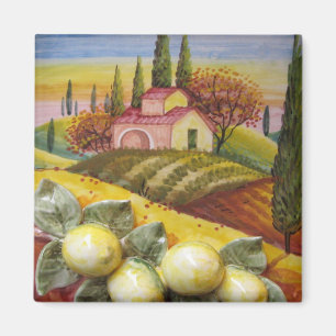 Íman Ímã da fazenda de Tuscan