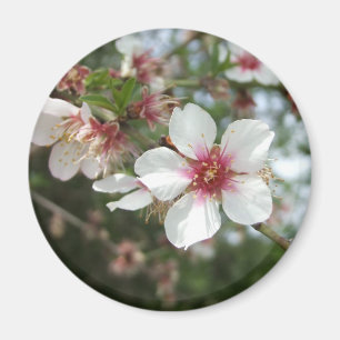 Íman Ímã da flor da flor