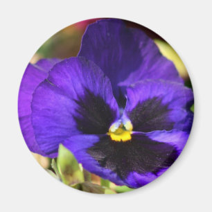 Íman Ímã da flor do amor perfeito