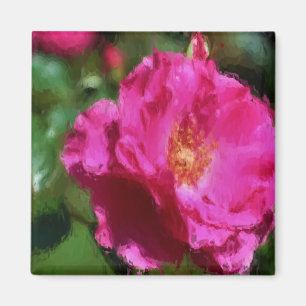 Íman Ímã da flor do desenho de giz do rosa do rosa