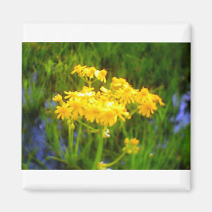 Íman Ímã da flor do girassol