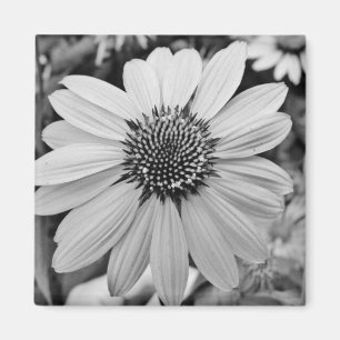 Íman Ímã da flor preta & branca