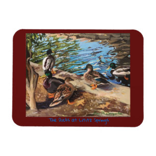 Íman Ímã da foto com os patos em Borgonha