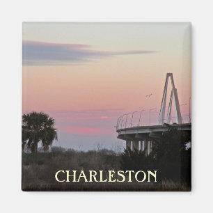 Íman Ímã da foto da lembrança de Charleston