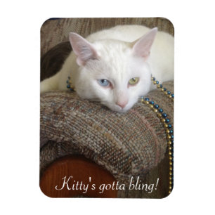 Íman Ímã da foto de Bling do gatinho