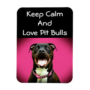 Íman Ímã da foto do amor de Pitbull