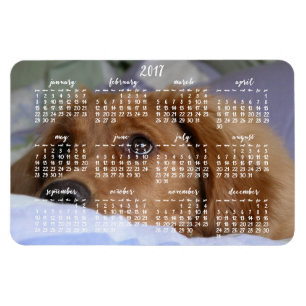 Íman Ímã da foto do calendário 2017 do golden retrie
