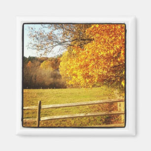 Íman ímã da foto do instagram