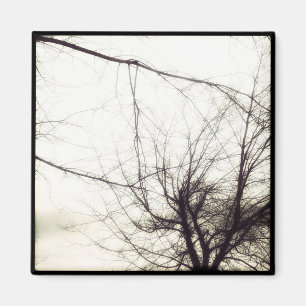 Íman ímã da foto do instagram