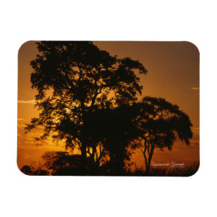 Íman Ímã da foto do por do sol do savana