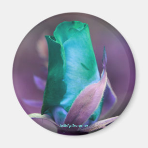 Íman Ímã da fotografia da flor do Rosebud de turquesa