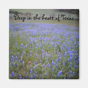 Íman Ímã da frase do campo do Bluebonnet